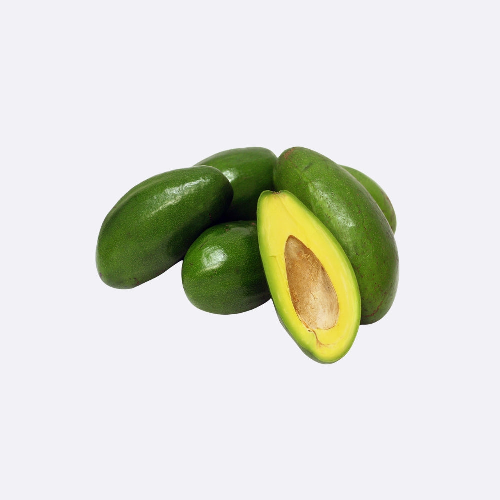 Florida Avocado X 1 Unit