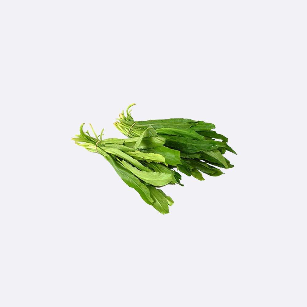 Cilantro X 1 Bunch