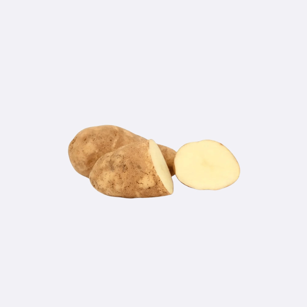 Idaho Potato X 1 Unit