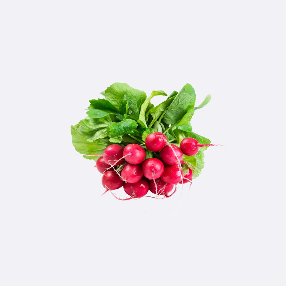 Radish X 1 Bunch