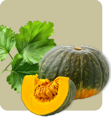 Vegetales