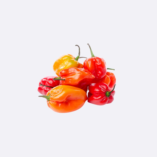 Chile Habanero X Libra