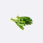 Cilantro X 1 Bunch